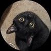 crowsmite